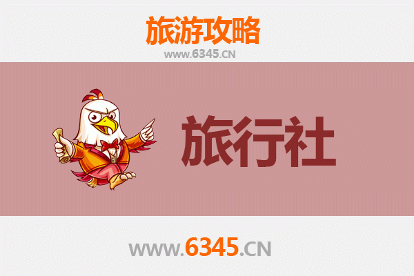 保亭国营新星农场本地旅行社推荐：深度体验热带农旅魅力