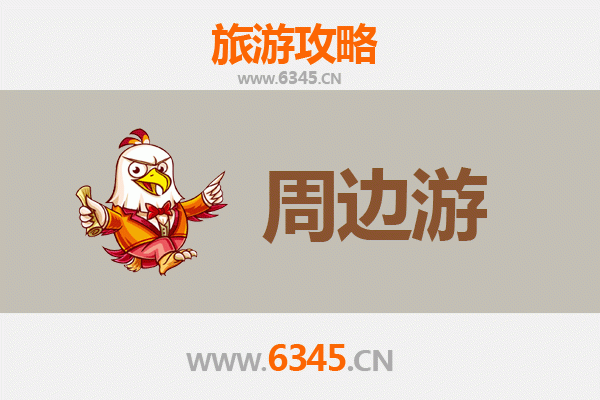 保亭国营新星农场周边游攻略：热带风情与黎苗文化深度体验