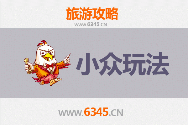 保亭国营新星农场小众玩法攻略：探秘雨林深处的隐世桃源